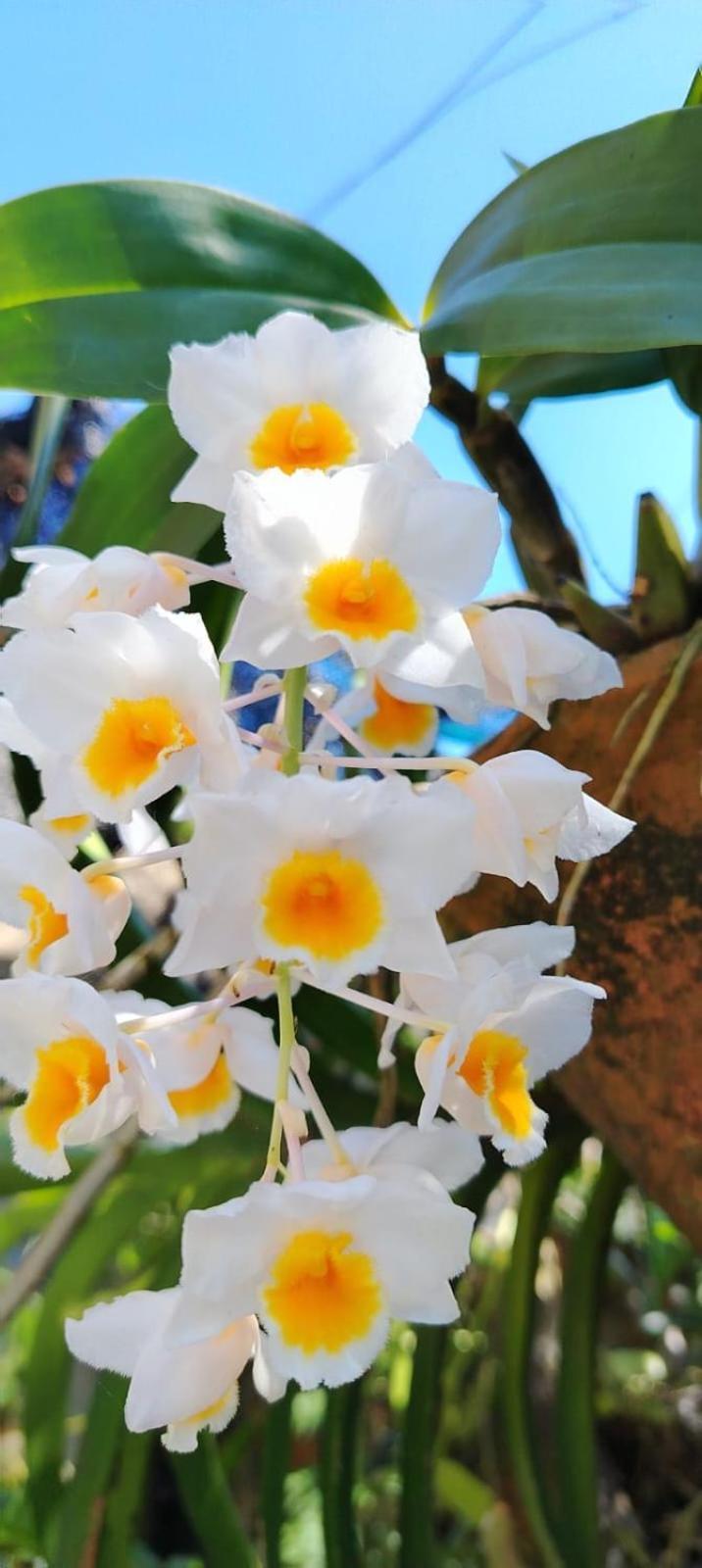 Recanto Dumar เปรูอิบี ภายนอก รูปภาพ